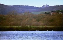 3 Schwimmkaute mit Burg Waldeck im Hintergrund